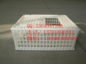 塑料雞籠供應(yīng)商 農(nóng)場用塑料雞籠子批發(fā) 成雞周轉(zhuǎn)筐廠家圖片,塑料雞籠供應(yīng)商 農(nóng)場用塑料雞籠子批發(fā) 成雞周轉(zhuǎn)筐廠家高清圖片 諸城市中興塑料制品廠,