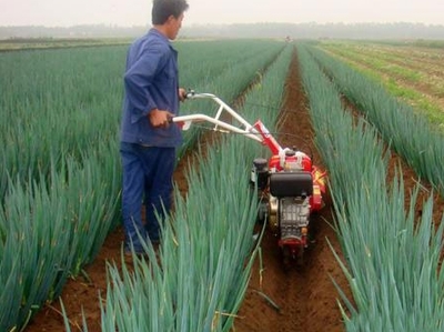 汽油開溝機 河北購買汽油開溝機 廠家批發(fā)-產(chǎn)品報價-曲阜市魯軒農(nóng)業(yè)機械