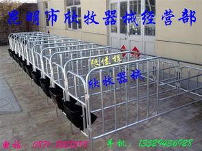 母豬產(chǎn)床,限位欄規(guī)格型號(hào)及價(jià)格 母豬產(chǎn)床 限位欄 保育欄 飲水器