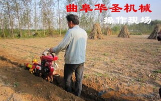 友善蝸輪 品牌 友善蝸輪 采購(gòu) 圖片 批發(fā)
